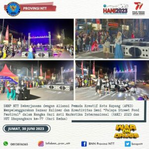 BNNP PASTIKAN PALAPA FOOD STREET FEST BERSINAR BNNP PASTIKAN PALAPA FOOD STREET FEST BERSINAR