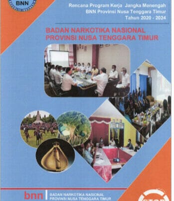 RENCANA PROGRAM KERJA JANGKA MENENGAH BNN PROVINSI NTT TAHUN 2020-2024