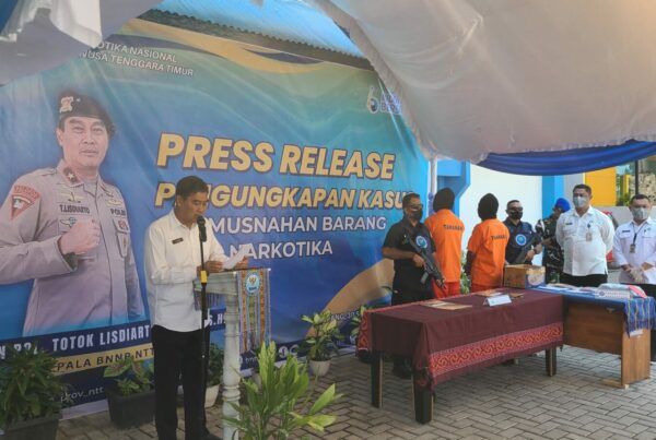 Gagalkan Penyelundupan 500 Gram Ganja dan amankan 8 Pot Ganja, BNNP NTT Gelar Press Release pengungkapan Kasus dan Pemusnahan Barang Bukti Narkotika
