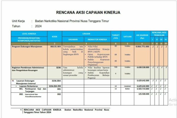 RENCANA AKSI CAPAIAN KINERJA BNN PROV. NTT 2024 Konsep Otomatis